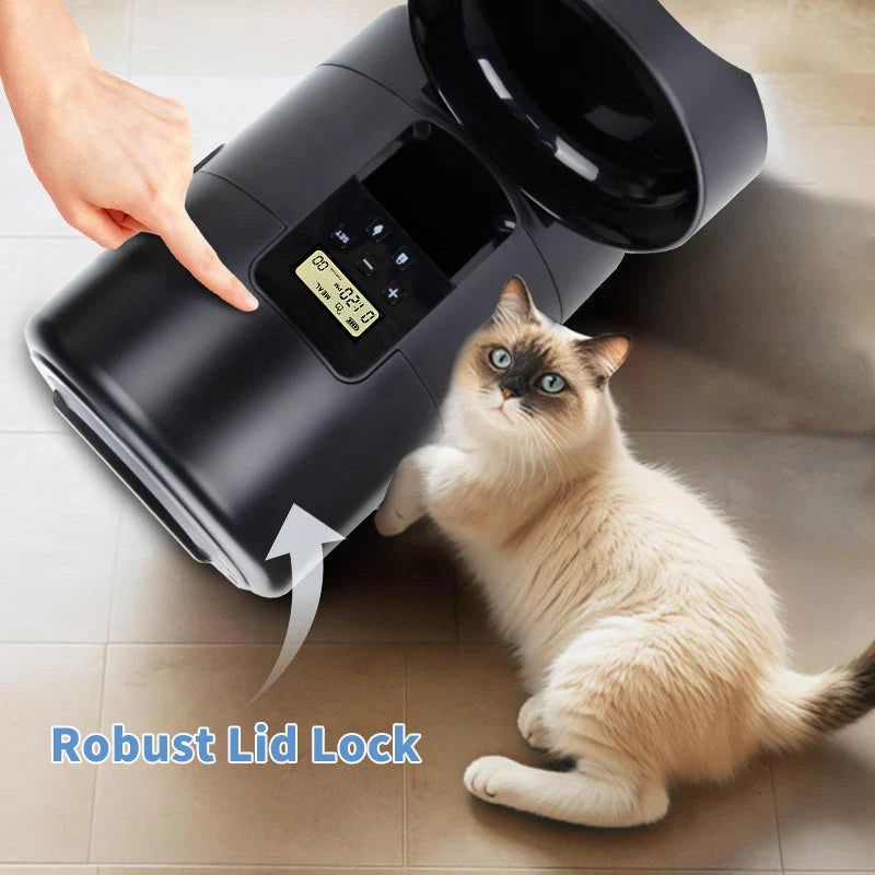 HEYBO Automatic Cat Feeder 2L Dry Food Dispenser