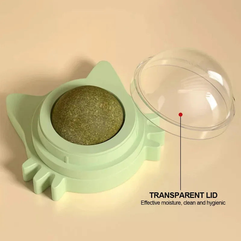 1PCS Catnip Lollipop Cat Treat Wall Design Dental Care Fresh Breath Cat Snacks Energy Ball Stomach Protection Pet Supplies