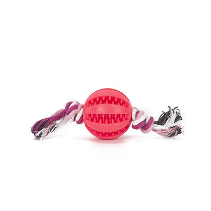 Same Day Delivery Dog Toy Interactive Bal for Dog Chewing Toys for Pet Tooth Cleaning Dog Food Ball Solid Toy Ball Dog Chewing
