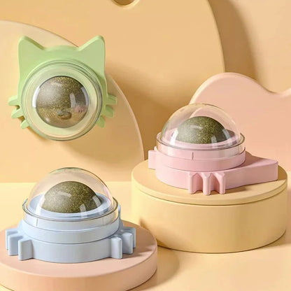 1PCS Catnip Lollipop Cat Treat Wall Design Dental Care Fresh Breath Cat Snacks Energy Ball Stomach Protection Pet Supplies