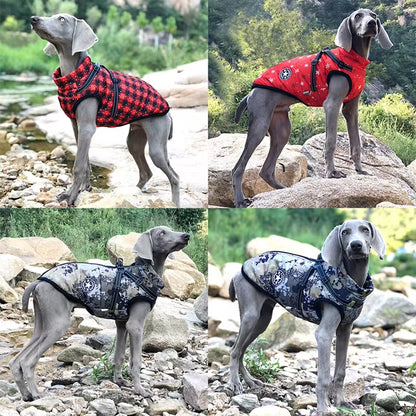 Pet Supplies Winter Dog Clothes for Small Dogs Warm Fleece Large Dog Jacket Waterproof Pet Coat with Harness Chihuahua Clothing Puppy Wearing